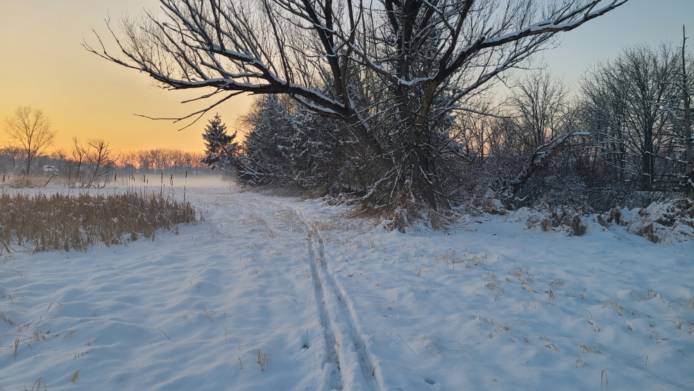 20260117_164701.jpg