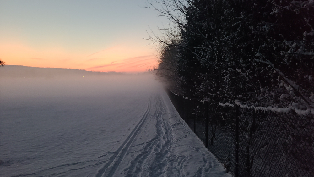 20260117_173606.jpg