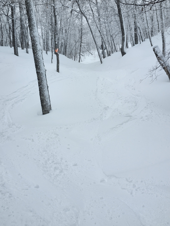 20260221_095046.jpg