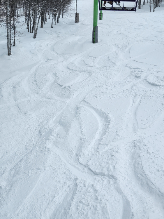 20260221_104759.jpg