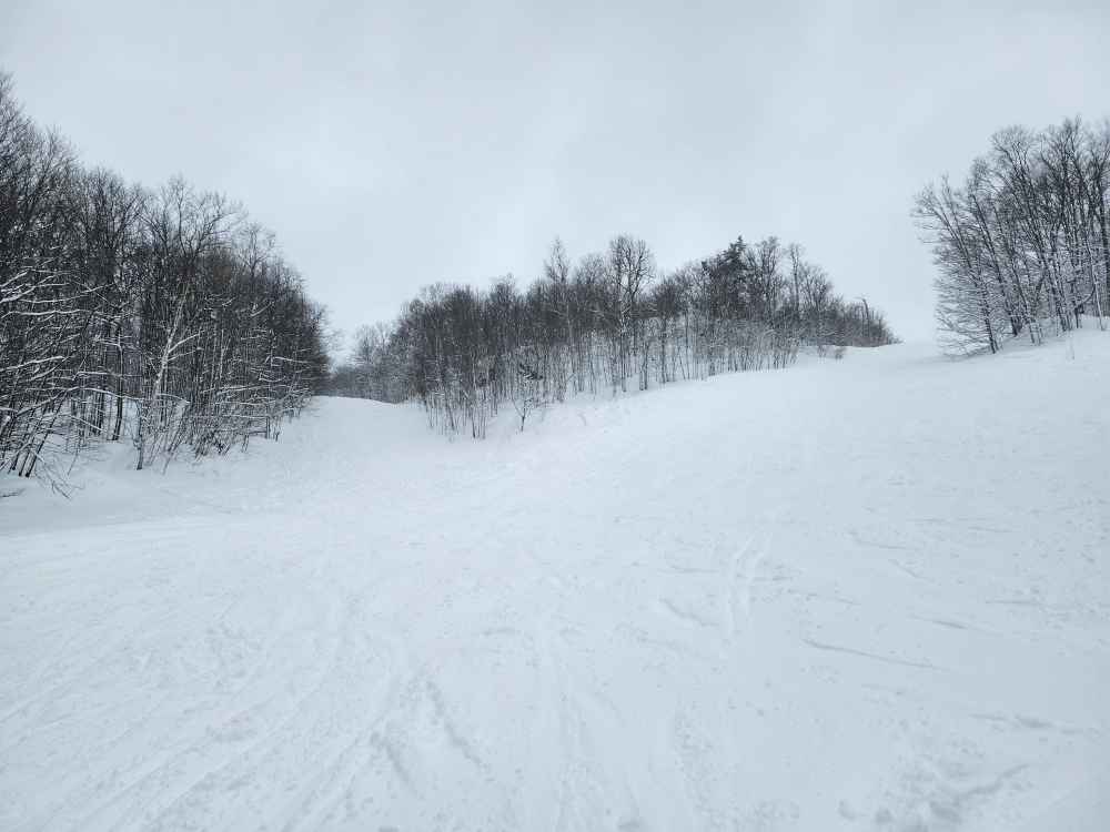20260222_115904.jpg