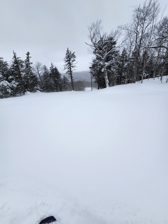 20260223_130740.jpg