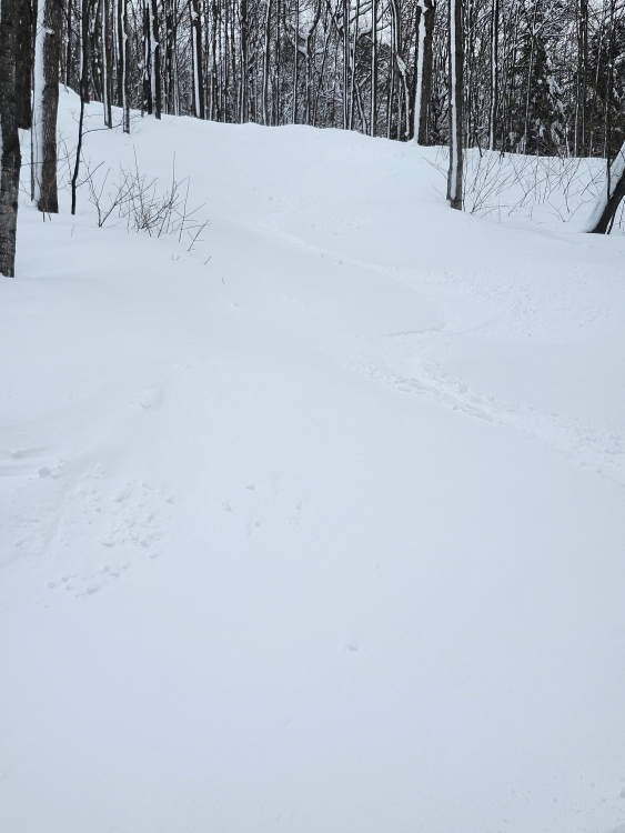 20260223_131110.jpg