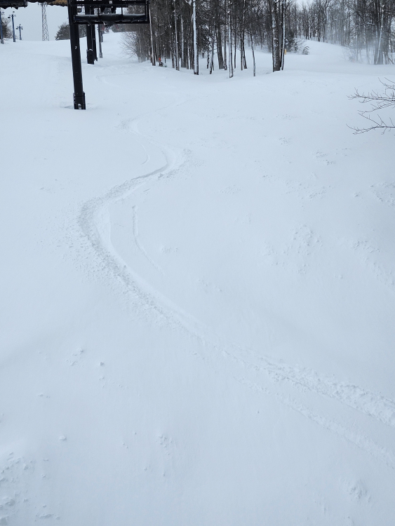 20260223_131433.jpg