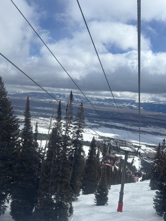 IMG_5885.thumb.jpeg.850d63fde018950d6f7bb33f42859c5b.jpeg